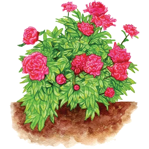 Sticker 059