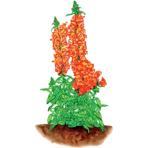 Стикер 060