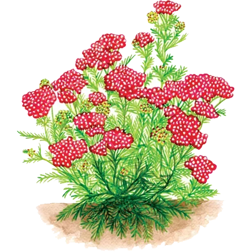 Sticker 063