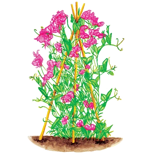 Sticker 064