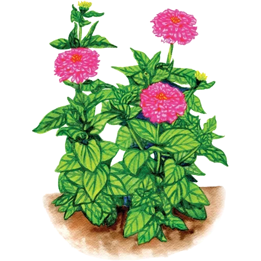 Стикер 065