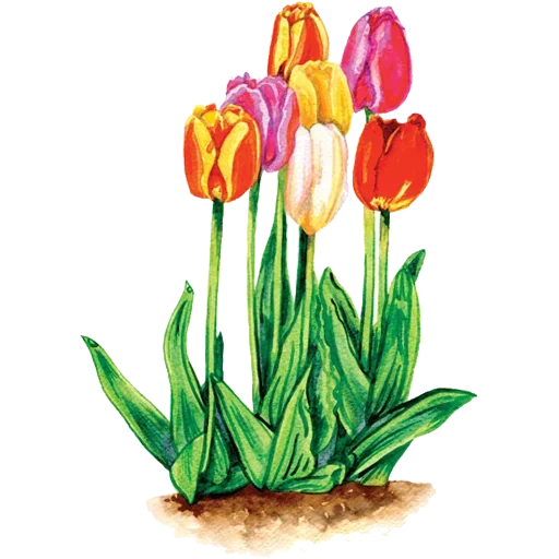 Sticker 066