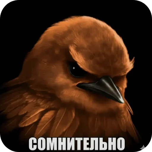 Стикер 003