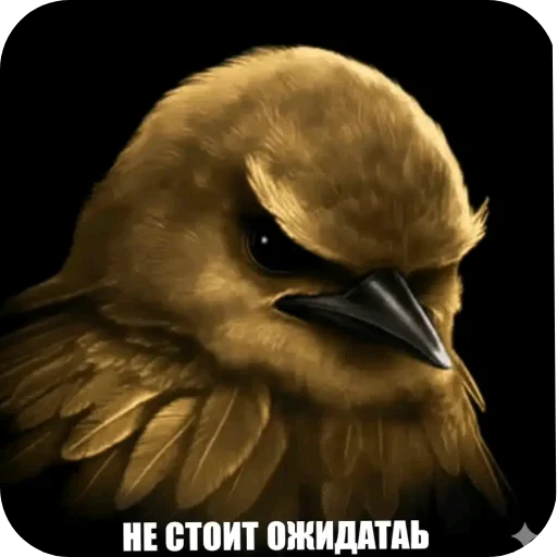 Стикер 005