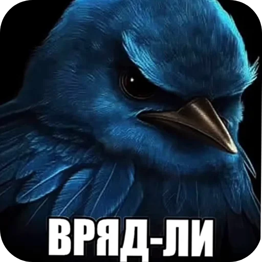 Стикер 007