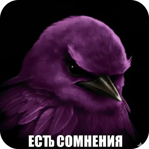 Стикер 008