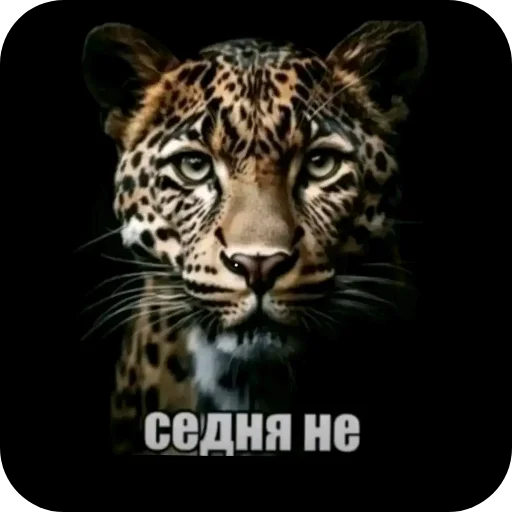 Стикер 011