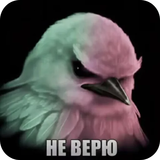 Стикер 013