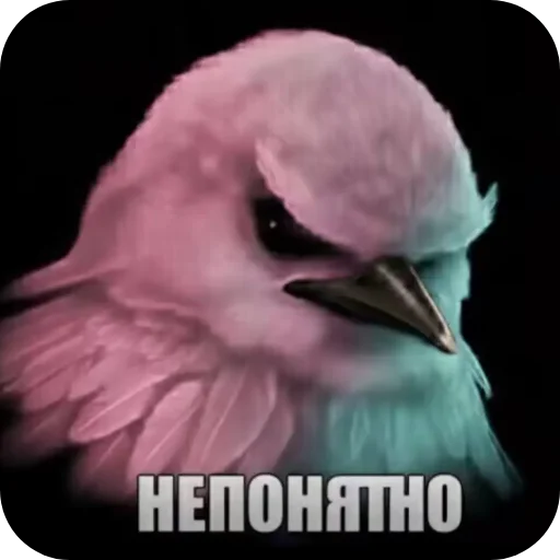 Стикер 017