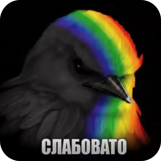 Стикер 019