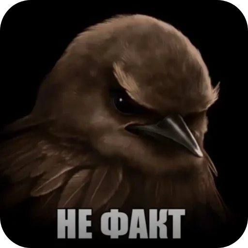 Стикер 021