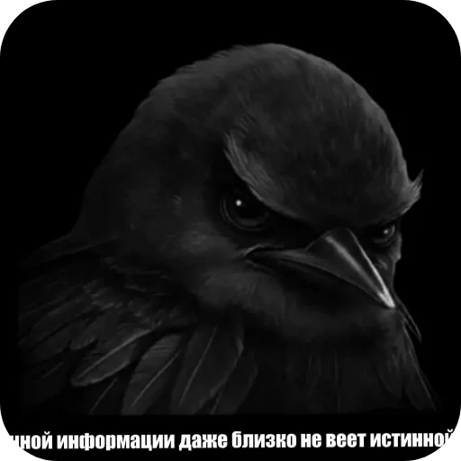 Стикер 022