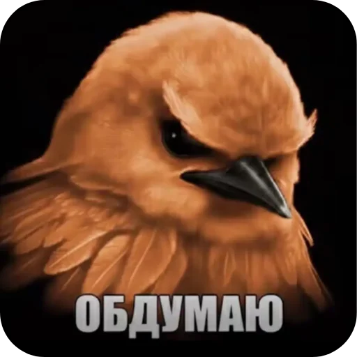 Стикер 023