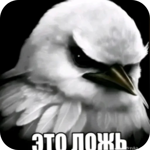 Стикер 030