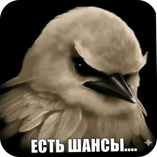 Стикер 033