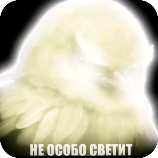 Стикер 034