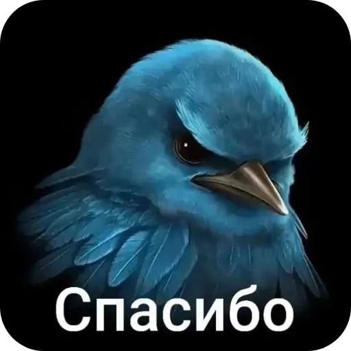 Стикер 048