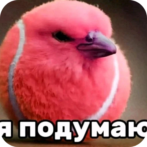 Стикер 053