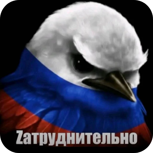 Стикер 054