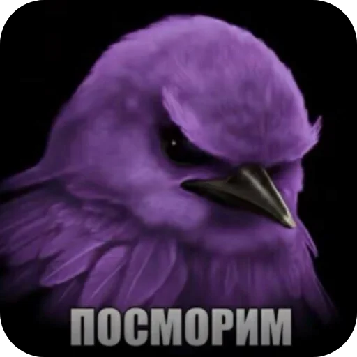 Стикер 056