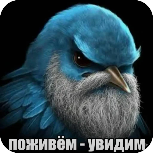 Стикер 057