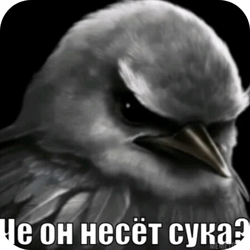 Стикер 059