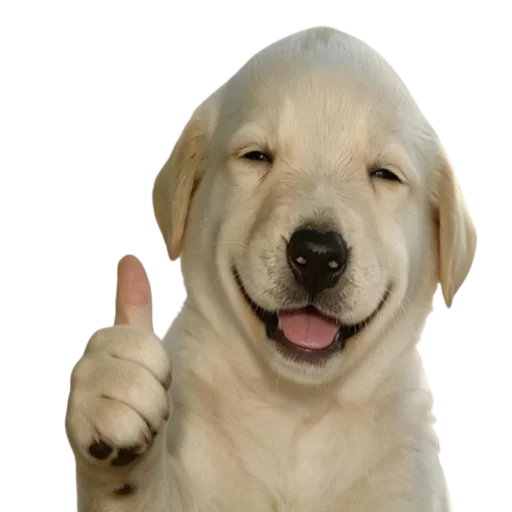 Sticker 029