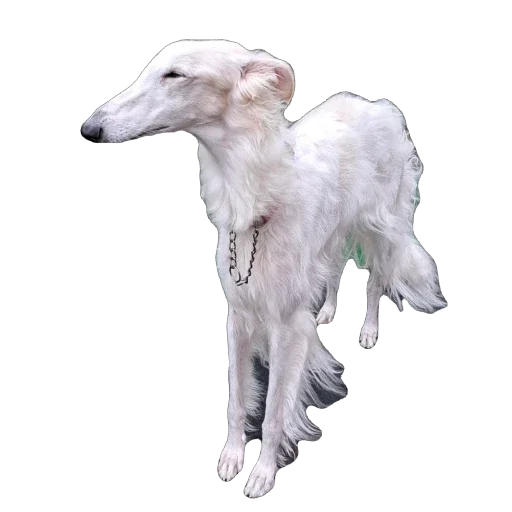 Стикер 015