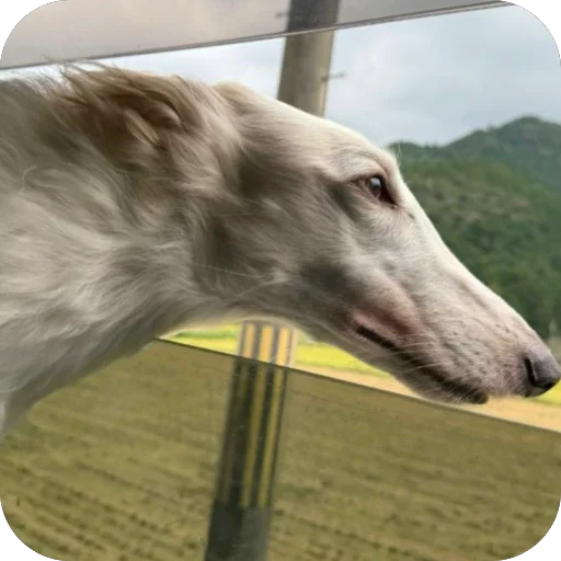 Стикер 023