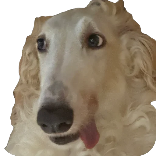 Sticker 028