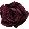 Emoji 011