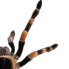 Emoji 045