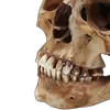 Emoji 047
