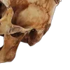 Emoji 048