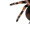 Emoji 052