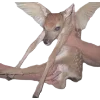 Эмодзи 020