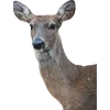 Emoji 028