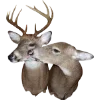 Emoji 029