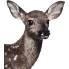 Emoji 032