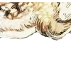 Emoji 034