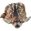 Emoji 036