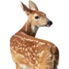 Emoji 046