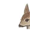 Emoji 047