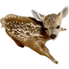 Emoji 053