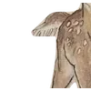 Emoji 055