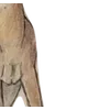 Emoji 056