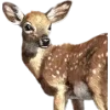 Emoji 057