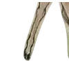 Emoji 063