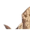 Emoji 065