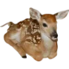 Emoji 067